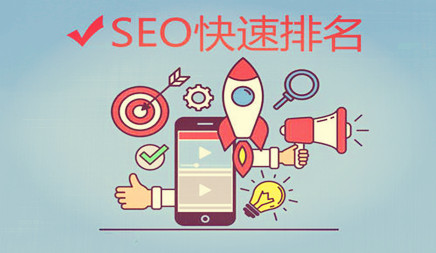 搜索引擎原理应用：seo优化快速排名技术